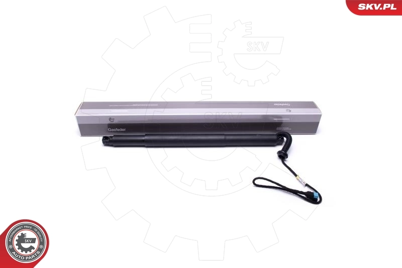 Electric Motor, tailgate